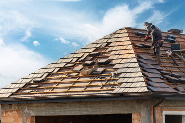 Best Sheet Metal Roofing  in Anderson, MO