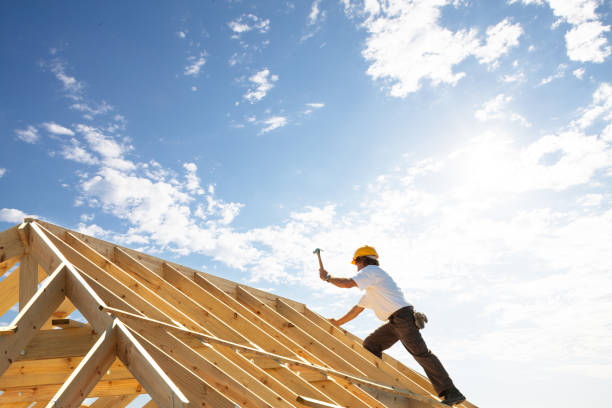 Best Skylight Installation and Repair  in Anderson, MO